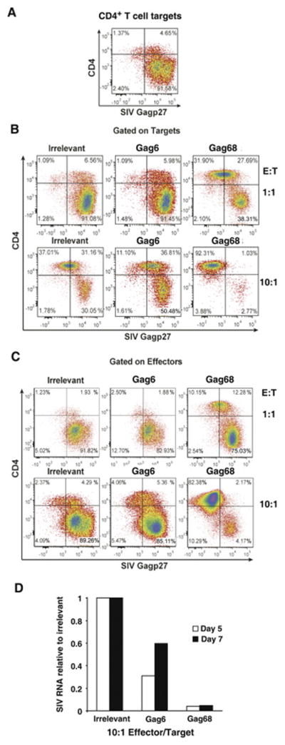 FIG 2