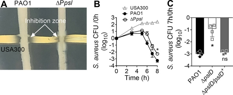 FIG 1