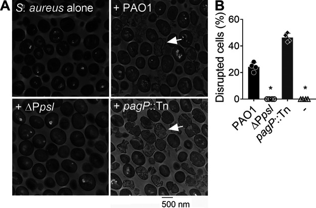 FIG 3