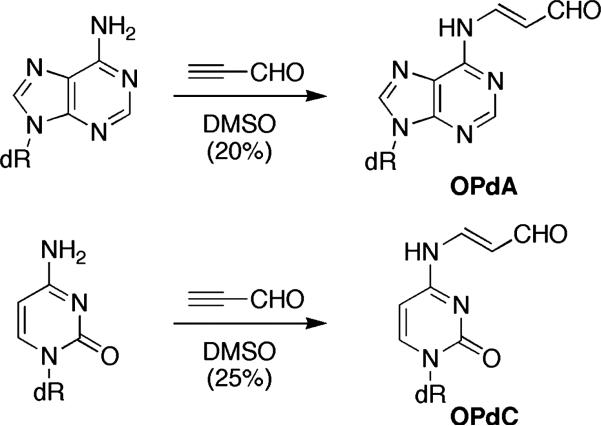 SCHEME 3