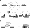 Fig. (2)