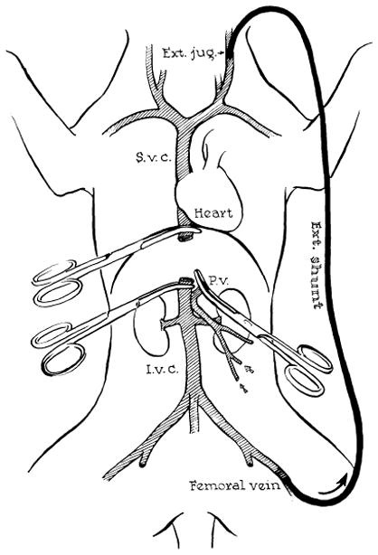 Fig. 17