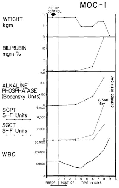 Fig. 19