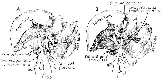 Fig. 13