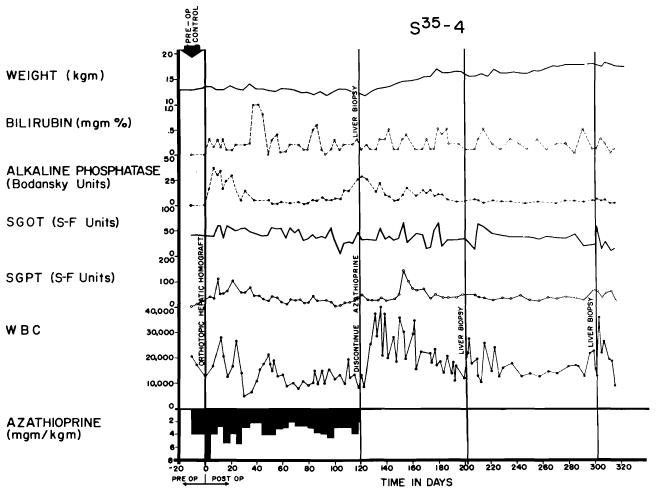 Fig. 24