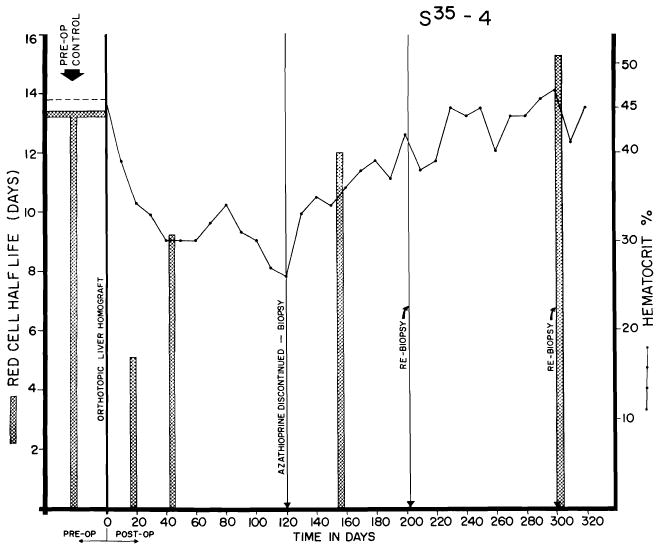 Fig. 23