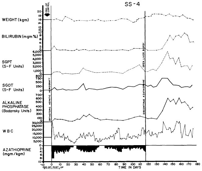 Fig. 28