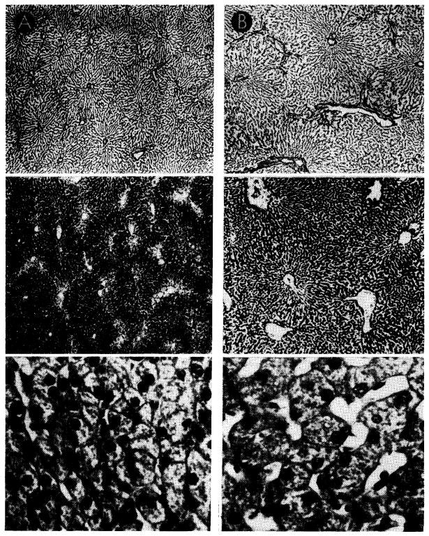 Fig. 15