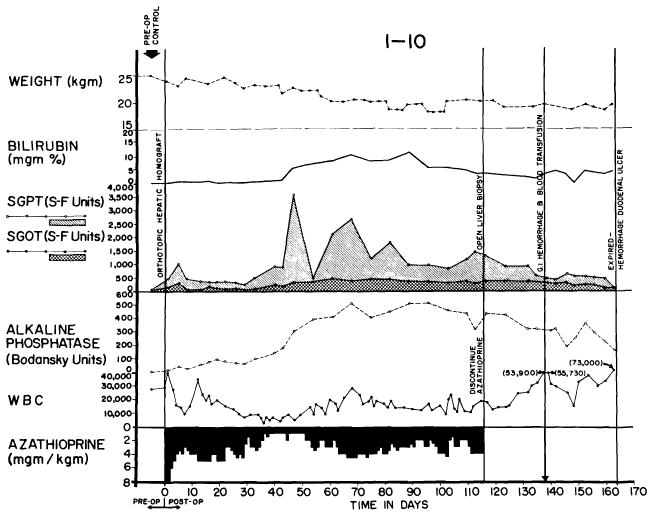 Fig. 27