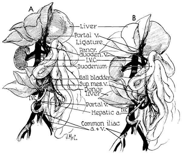 Fig. 37