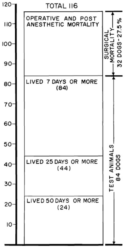 Fig. 22