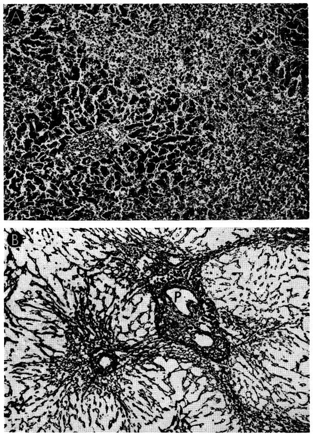 Fig. 30