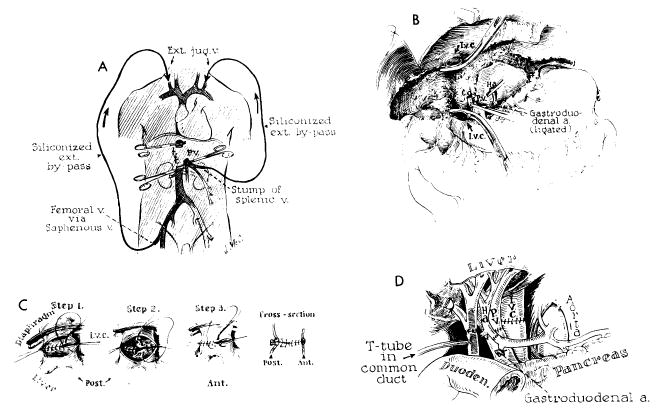 Fig. 42