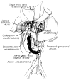 Fig. 18
