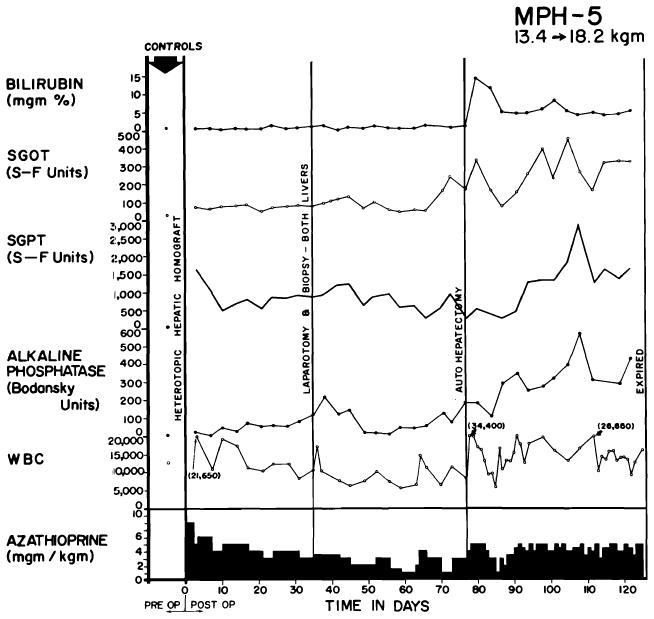 Fig. 40