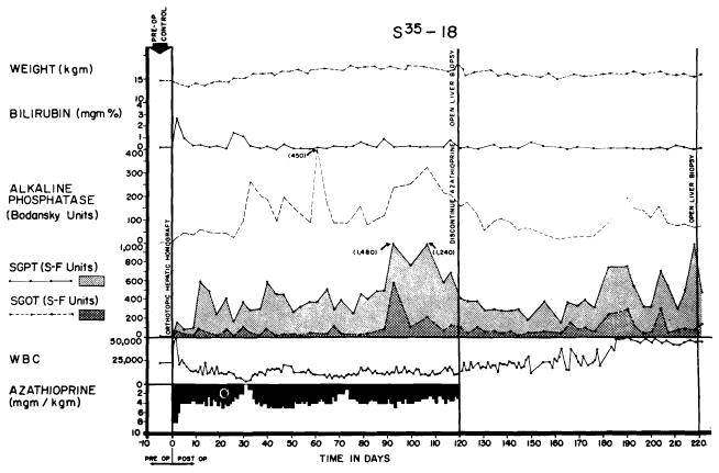 Fig. 35