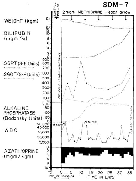 Fig. 25