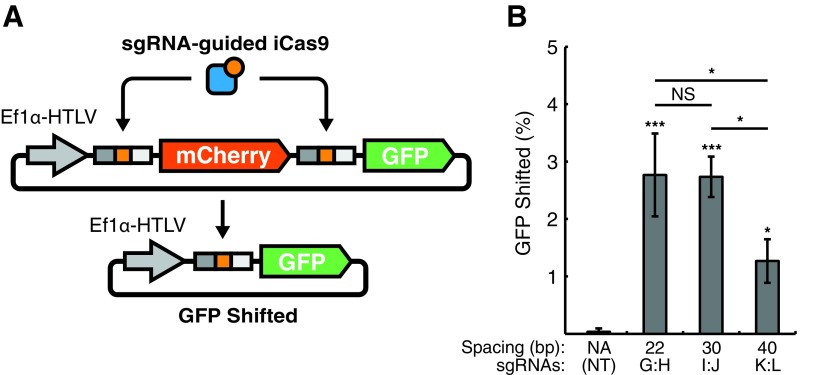 FIG. 3.