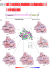 Fig. 3