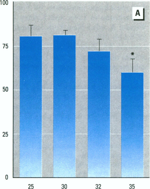 Figure 6. A