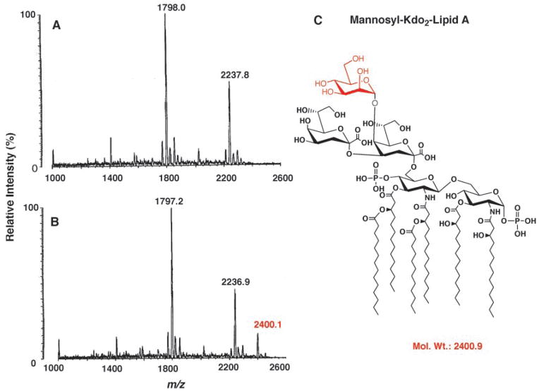 Fig. 8