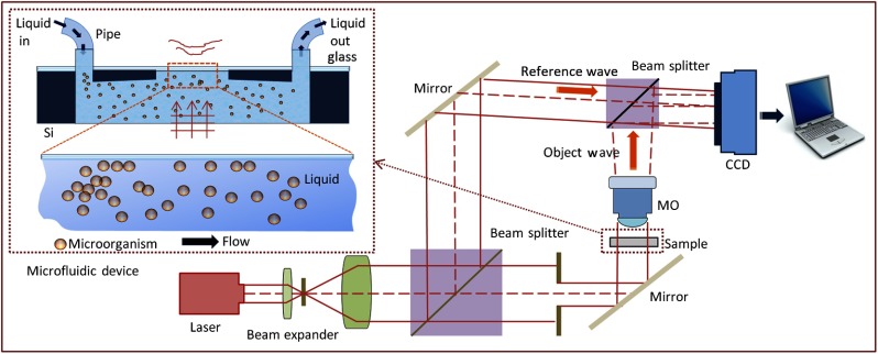 Fig. 1