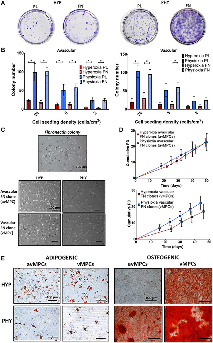 FIGURE 3