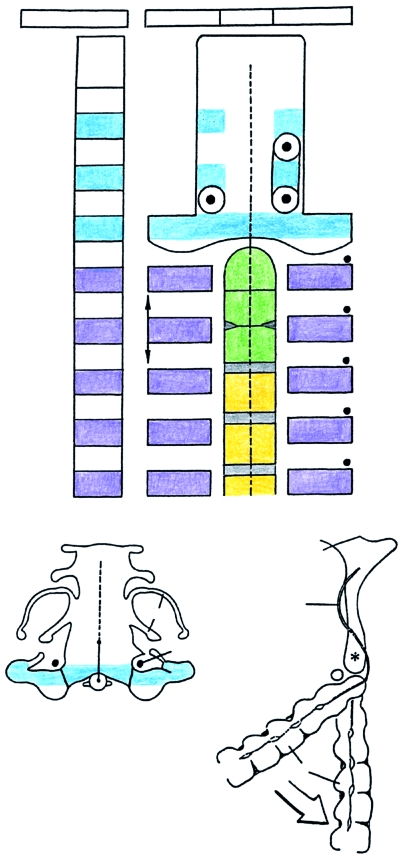 Fig. 12