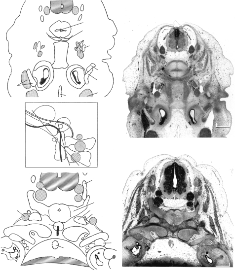 Fig. 11