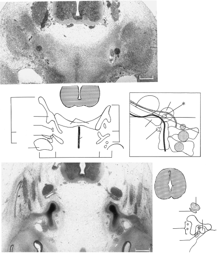 Fig. 10