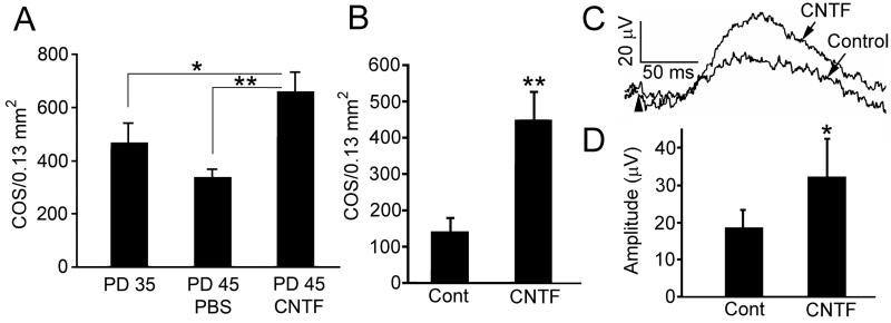 Fig. 13.4