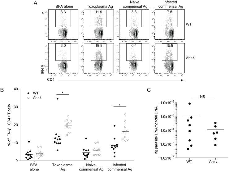 Fig 4