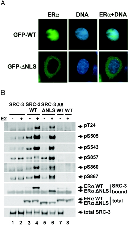 FIG. 7.