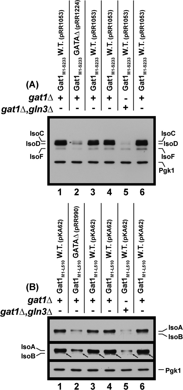 FIGURE 9.