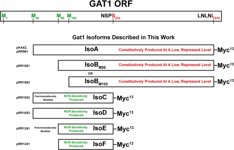 FIGURE 13.