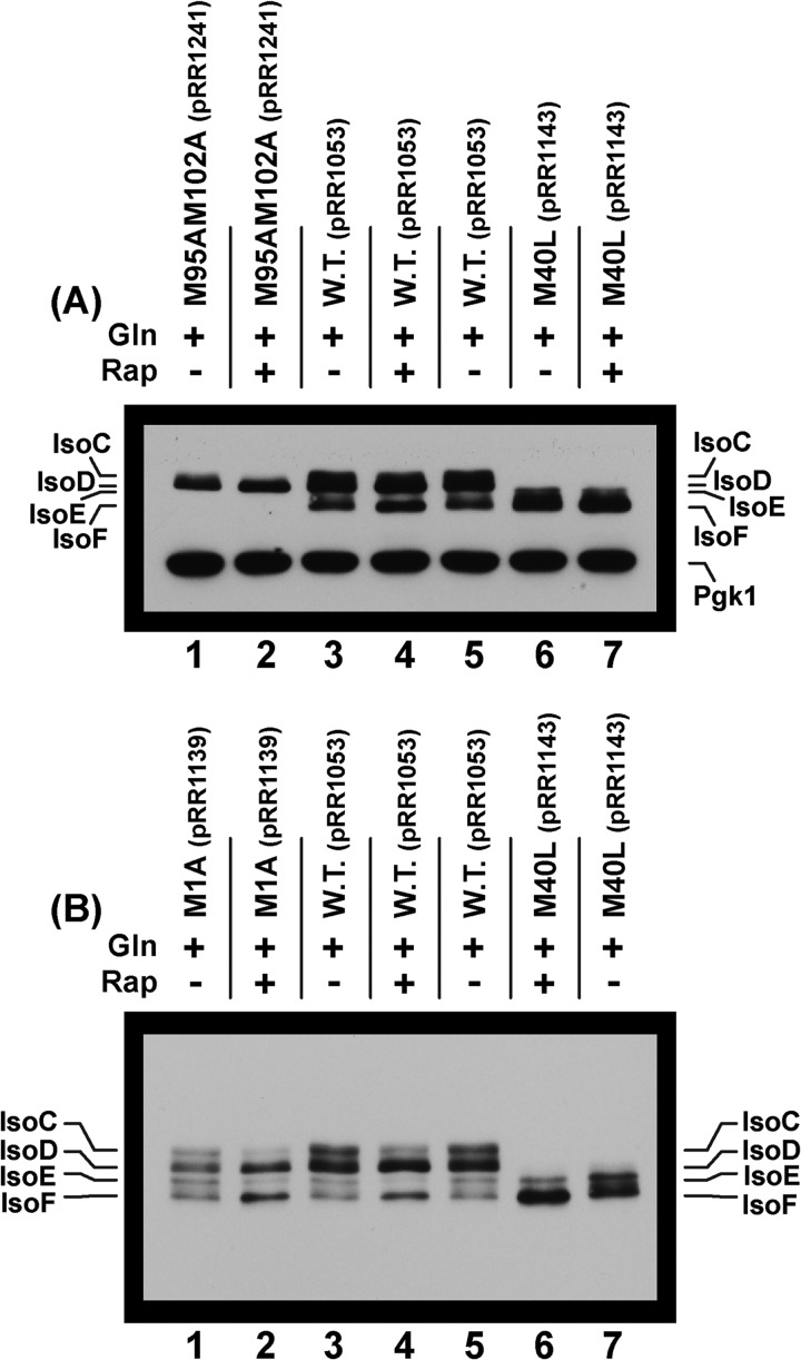 FIGURE 11.