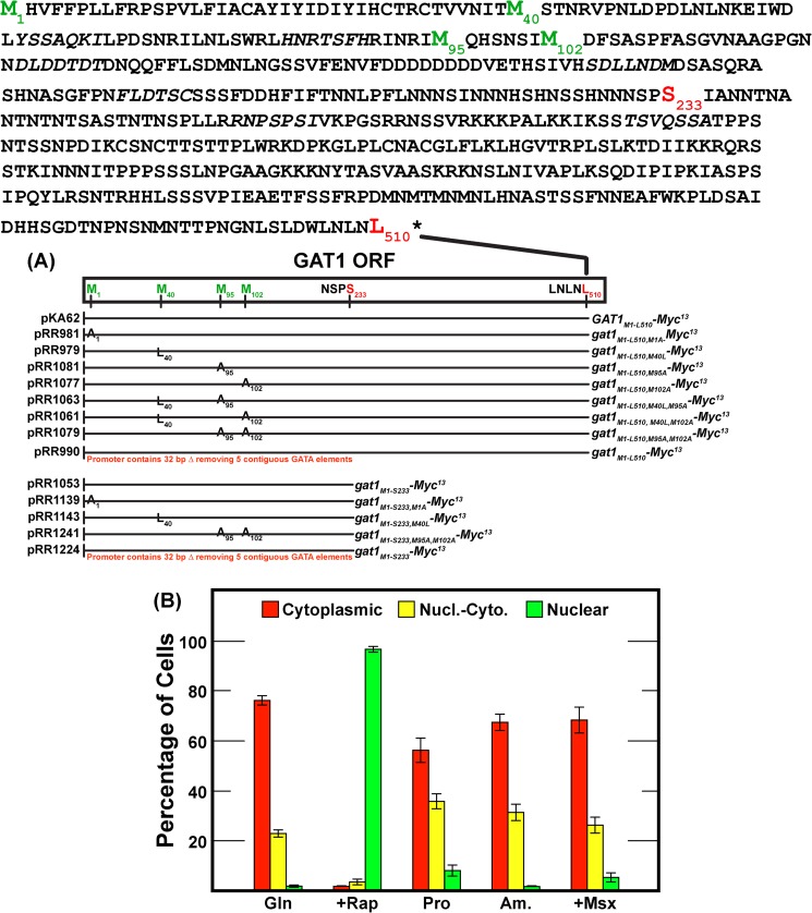 FIGURE 1.