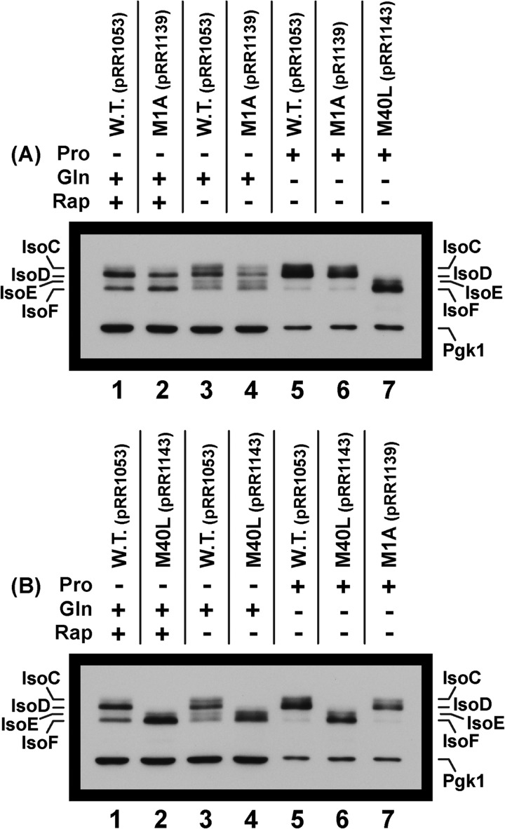 FIGURE 10.