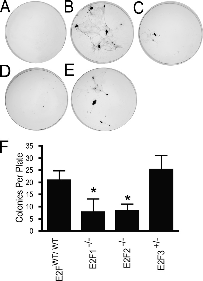 FIG 6