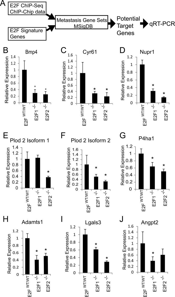 FIG 11