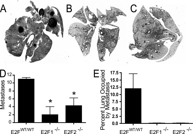 FIG 9