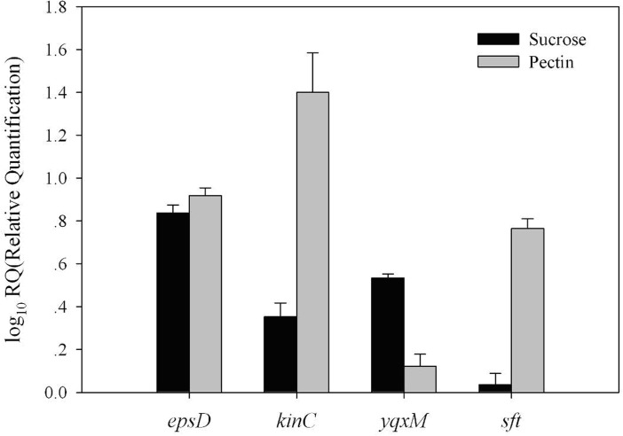 Fig 7