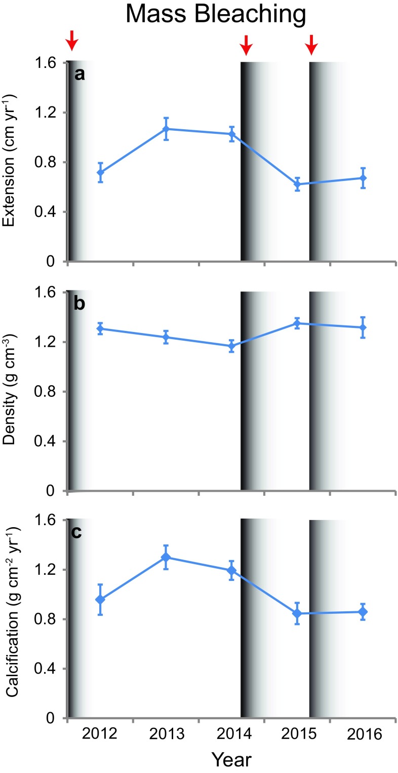 Fig. 3