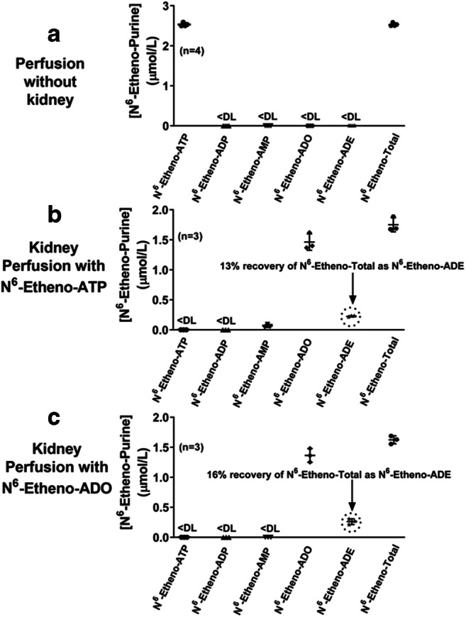 Fig. 13