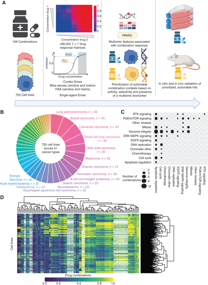 Figure 1. Dose response matrix combination screening landscape. A, Schematic of screen and analysis. Created with BioRender. B, Overview of cell line cancer types. C, Drug combinations screened grouped by drug target pathways. D, Combo Emax for 755 cell lines screened with 109 combinations. White represents combination/cell line pairs not screened.