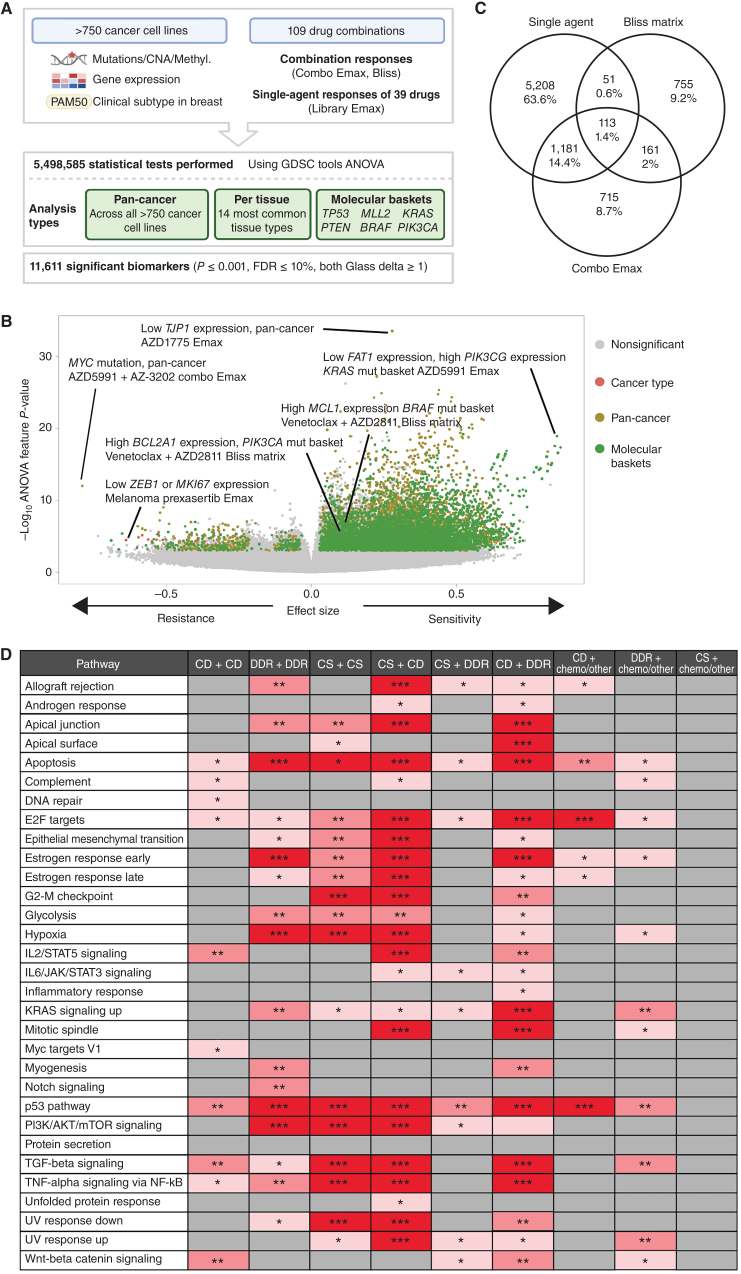 Figure 3. Multi-omics biomarkers of combination activity. A, Schematic of biomarker pipeline including molecular features incorporated and analyses performed. Created with BioRender.com. B, Volcano plot of biomarkers from all analyses. Statistically significant associations are colored by analysis type, nonsignificant biomarkers are colored gray. C, Venn diagrams of the biomarkers from different inputs leading to the identification of emergent biomarkers. Note that single-agent biomarkers may be duplicated for the multiple combinations in which the single agent has been screened: the Venn diagram depicts unique single-agent biomarker associations only. D, Significant enriched pathways for emergent biomarkers in each drug combination category based on Padj values. * 0.05 < P < 0.01, ** 0.01 < P < 0.001, *** P < 0.001. CD, cell death; CS, cell signaling; chemo, chemotherapeutic agents.