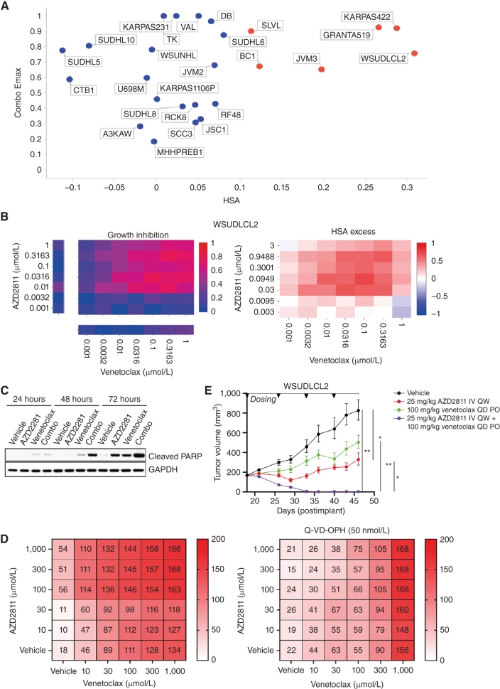 Figure 5. AZD2811 plus venetoclax combination in DLBCL. A, Combo Emax versus HSA in 25 B-cell NHL cell lines including 11 DLBCL cell lines. Cell lines with high combination activity (combo Emax > 0.5 and HSA > 0.1) are in red. B, Growth inhibition and HSA excess matrices in DLBCL cell line WSUDLCL2. C, Western blot analysis for cleaved PARP in WSUDLCL2 cells treated with AZD2811 or venetoclax alone or in combination. D, Matrix plots indicating combination activity (measured by growth inhibition) in WSUDLCL2 cells pretreated with pan caspase inhibitor Q-VD-OPH and exposed to AZD2811 combined with venetoclax for 72 hours. Matrix values represent cell viability normalized to day 0 on the scale of 0 to 200 (value < 100 = percentage of growth inhibition, value > 100 = cell death). E, Tumor growth in WSUDLCL2 xenografts treated with AZD2811 or venetoclax alone or in combination for 46 days (n = 6 per group, * 0.05 < P < 0.01, ** 0.01 < P < 0.001). Data are plotted as mean tumor volume ± SEM. PO, orally; QD, every day.