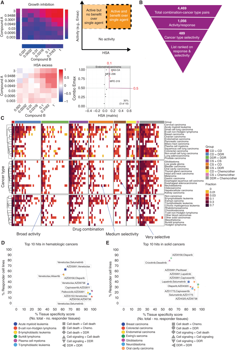 Figure 2. Shortlisting for active and selective combinations. A, Growth inhibition (Emax) and HSA matrix plots were generated for each combination in every cell line. Combo Emax and HSA were used to identify active combinations with benefit over single agent (s.a.). B, Combinations were filtered on the basis of their activity and selectivity in the tested cancer types. C, Activity of each combination tested in this screen in 41 cancer types. The fraction of cell lines where the combinations are active is indicated and combinations are grouped by category. D and E, Top 10 hits in hematologic cancers (D) and solid tumors (E). Percentage of responder cell lines for each combination in each cancer type plotted versus cancer-type specificity scores. Each color represents a cancer type and combination categories are represented by different shapes. CD, cell death; DDR, DNA damage response; CS, cell signaling; chemo, chemotherapeutic agents.