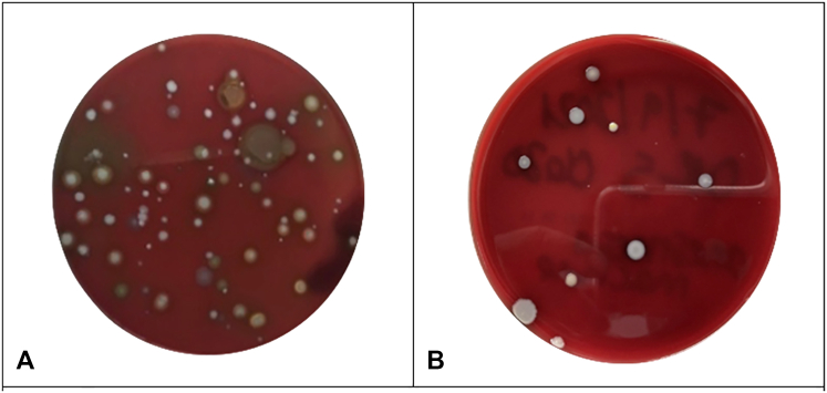 Figure 4