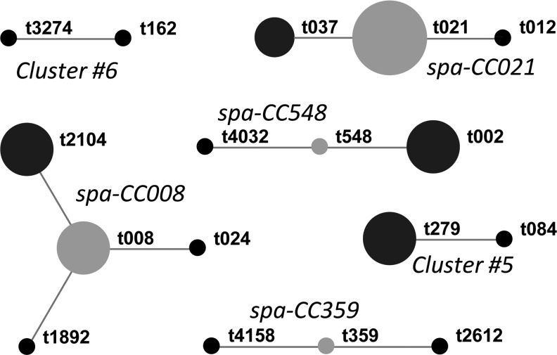 FIG. 1.